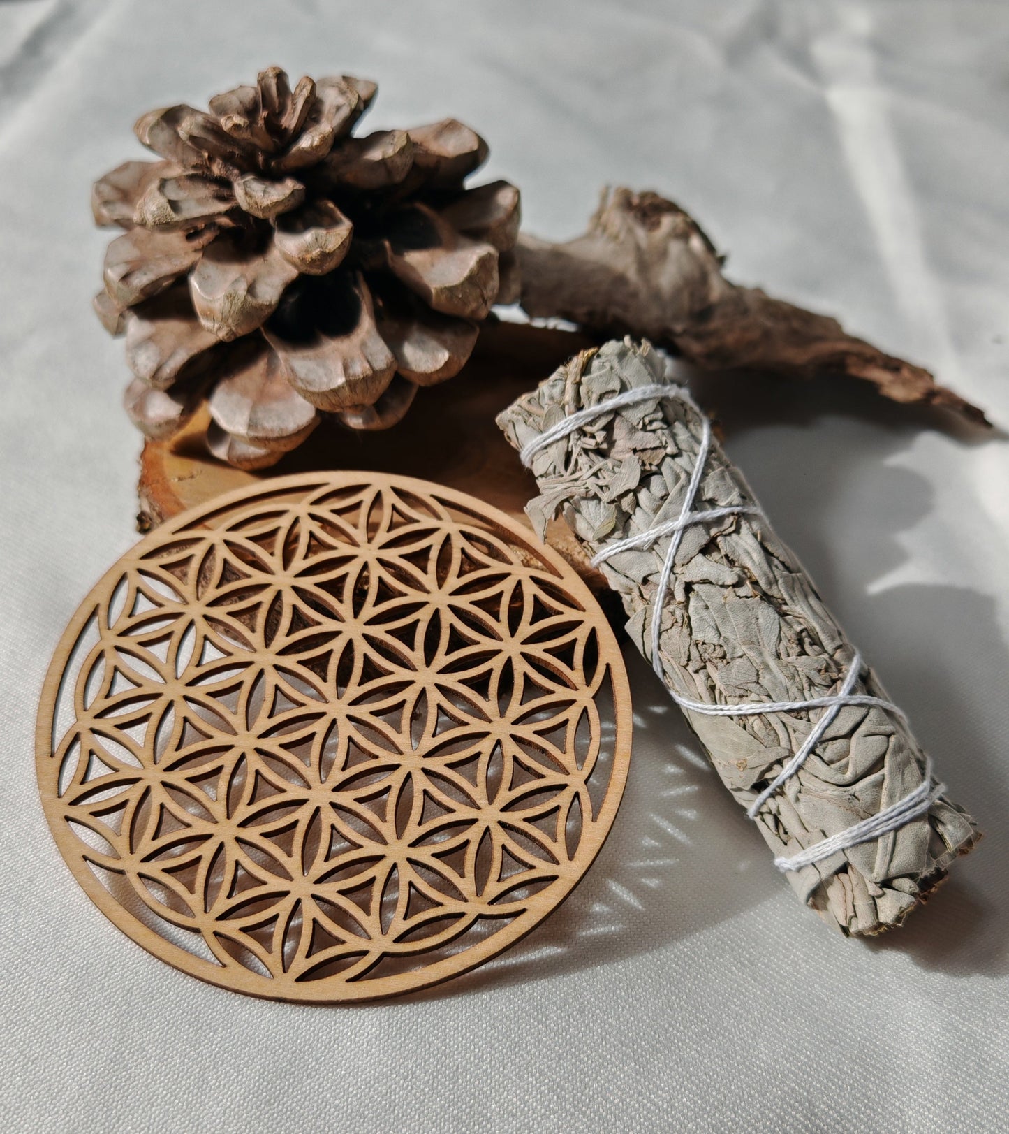 fleur de vie et sauge sur un bout de bois sur font blanc