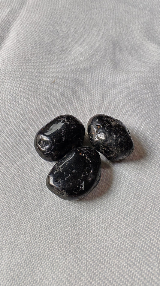 Troumaline noire pierre roulée sur font blanc