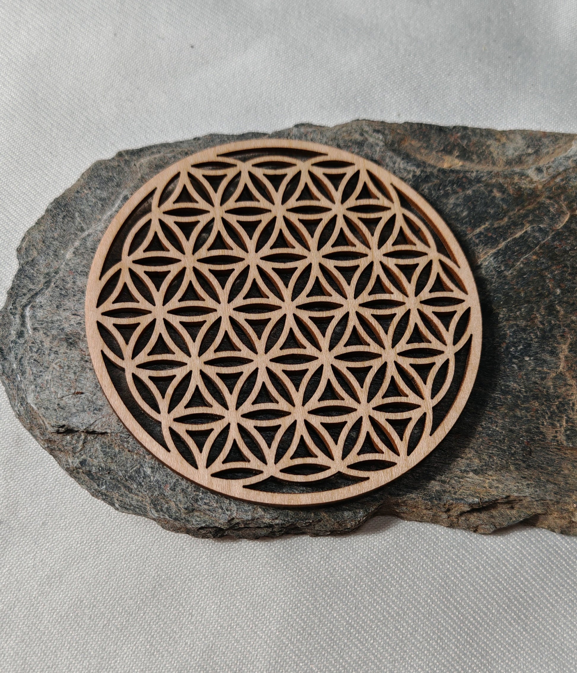 Fleur de vie sur roche